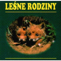 Książeczka dla małych dzieci maluszków twarde kartki