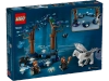 Klocki Lego Harry Potter 76432 Zakazany Las: magiczne stworzenia, 172 elementy, 2 figurki postaci i 3 figurki stworzeń w tym Hardodzioba, super jakość, oryginalne klocki, wiek dziecka 8+