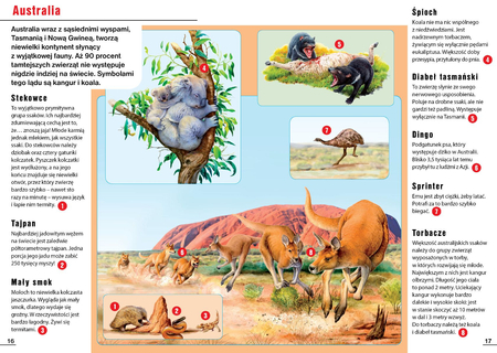 Książka Zwierzęta. Mała encyklopedia wiedzy dla dzieci w wieku 7-10 lat, aut. Eryk Chilmon, wydawnictwo Siedmioróg, ilustracje wraz z opisem na każdej stronie, twarda oprawa, 24 strony