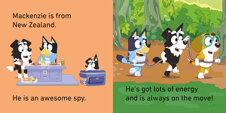 Bluey, 4 książeczki całokartonowe dla maluszków, Mała Biblioteka, wersja anglojęzyczna