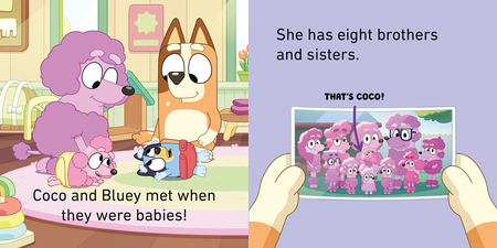 Bluey, 4 książeczki całokartonowe dla maluszków, Mała Biblioteka, wersja anglojęzyczna