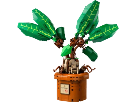 Klocki Lego Harry Potter 76433 Mandragora, 579 elementów, klocki dla dzieci 10+
