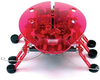 Hexbug Beetle mikro robot Chrząszcz, wersja kolorystyczna: czerwony, samodzielnie chodzi, reaguje na dotyk, zabawka na baterie, wiek dziecka 8+