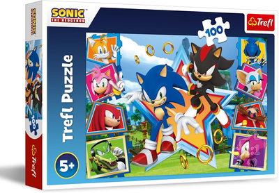Sonic the Hedgehog, Puzzle dla dzieci, 100 el. kolorowy obrazek o wymiarach 41 x 27 cm, wiek dziecka 5+