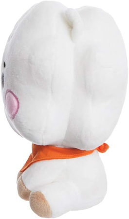 BT21 Maskotka RJ Baby w kartoniku, 19 cm, Aurora