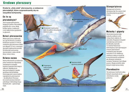 Książka Mała encyklopedia wiedzy Dinozaury, dla dzieci w wieku 7-10 lat, aut. Eryk Chilmon, wydawnictwo Siedmioróg, ilustracje wraz z opisem na każdej stronie, twarda oprawa, 24 strony