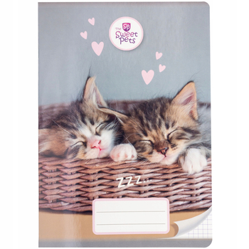 Zeszyt szkolny dla dziewczynki, 32 kartki, kratka, Kotki 4